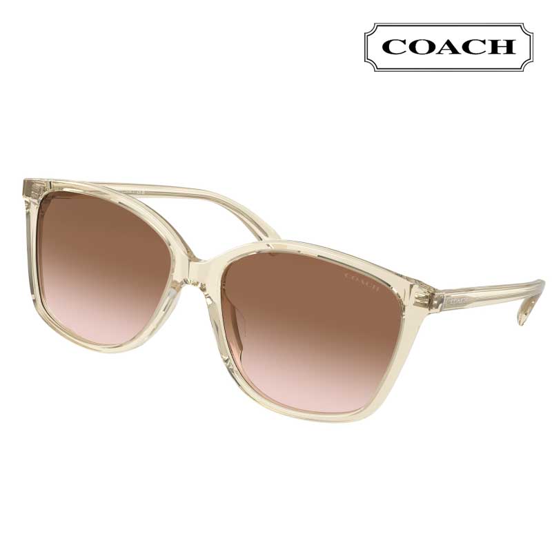 COACH  󥰥饹 hc8361U 573613 Transparent fawn UVå 糰å ֥ɥ󥰥饹...