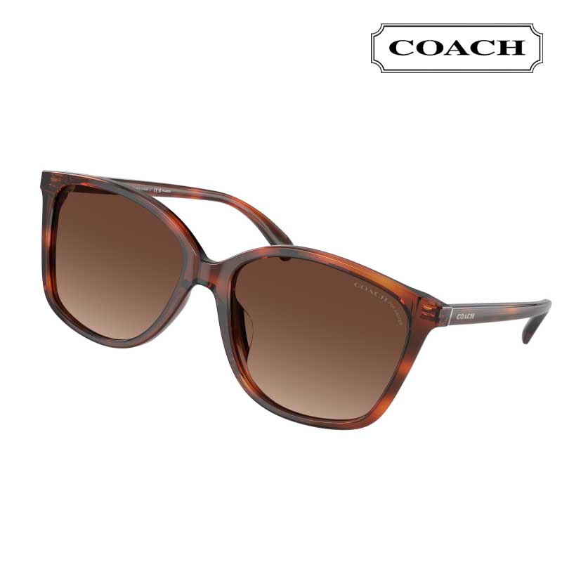 COACH  󥰥饹 hc8361U 5741T5  ȡȥ и UVå 糰å ֥ɥ...