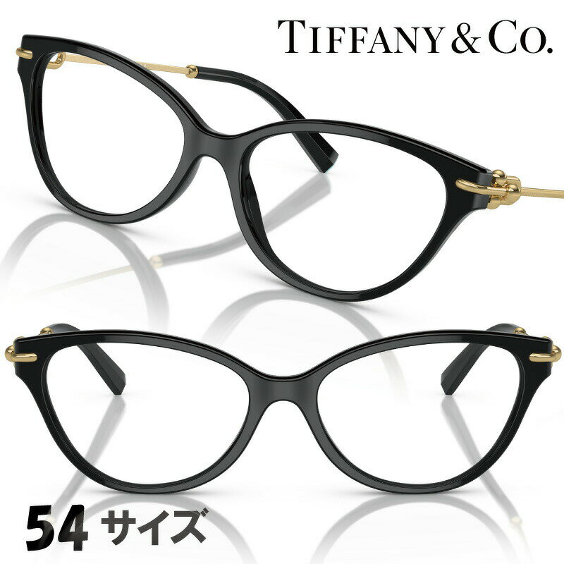 TIFFANYCo. 0tf2231f-8001 ֥å ϡɥ  20 30 40 50 쥬  ᥬ...