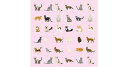 パフューム 3017-43 18X18 キャッツ 抗菌 猫 眼鏡拭き めがね拭き メガネ拭き おすすめ メガネクロス かわいい クリーニングクロス スマホ 液晶...