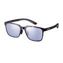SWANS ER ER-3-0714 CTQB スポーツサングラス ゴルフ ジョギング ゴルフコンペ 記念品 UVカット メンズ レディース