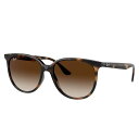 Ray-Ban レイバン RB4378F 710/13 54□16 ブラウン べっ甲 グラデーション アジアンフィッティング Ray-Ban 国内正規 LUXOTTICA 保証書付き サングラス UVカット 紫外線カット 紫外線対策 日焼け防止 レディース 女性用 オシャレ 送料無料