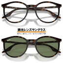 レイバン サングラス 0RB2204F902/GJ54 ハバナ 調光レ...(4)