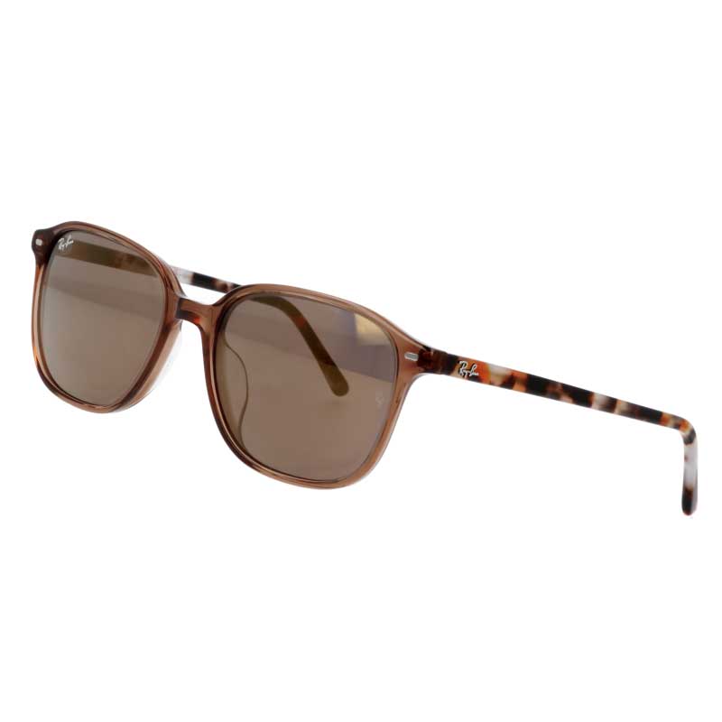 楽天メガネサングラスのDOURAKUレイバン サングラス Ray-Ban RB2193F 663693 55□18 LEONARD レナード クリアブラウン アジアンフィッティング 正規品 国内正規 Ray-Ban レディース メンズ 女性用 男性用 人気 サングラス UVカット 紫外線カット 紫外線対策 ドライブ 運転 旅行 オシャレ 送料無料