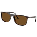 レイバン サングラス 偏光 RayBan RB2216F 902/57 58□18 ブラウン べっ甲柄 偏光サングラス 偏光レンズ メンズ レディース 男性用 女性用 度付き 可 Ray-Ban rayban 正規品 UVカット 紫外線対策 紫外線カット おしゃれ シンプル クラシカル 人気 運転 ドライブ 送料無料(4)