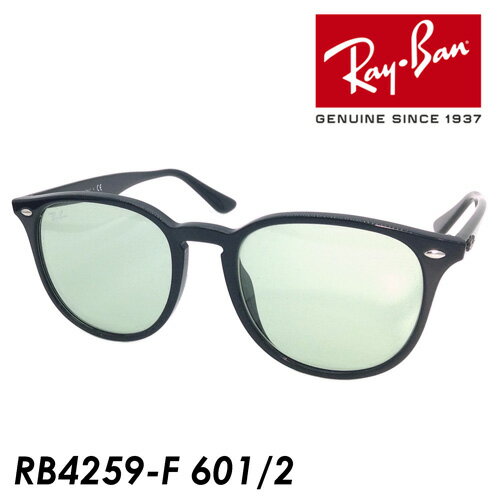 Ray-Ban(レイバン) サングラス RB4259-F col.601/2 53mm 国内正規品 保証書付 【UVカット】