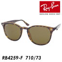 Ray-Ban Co RB4259F 710/73 53mm fB[X Y ׂ