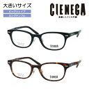 CIENEGA VFlK Kl CN-K31 col.1/2 52mm  傫TCY rbOTCY Oev LOTCY 2color