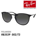 Ray-Ban レイバン 偏光サングラス ERIKA METAL RB3539 002/T3 54mm エリカ メタル POLARIZED ポラライズド 紫外線 UVカット 国内正規品 保証書付き