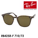 Ray-Ban Co TOX RB4258-F col.710/73 52mm Ki ۏ؏t UVJbg