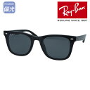 Ray-Ban レイバン 偏光サングラス RB4391D 601/81 65mm POLARIZED ポラライズド 紫外線 UVカット 国内正規品 保証書付 大きいサングラス ビッグサイズ