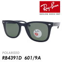 Ray-Ban レイバン 偏光サングラス RB4391D 601/9A 65mm POLARIZED ポラライズド 紫外線 UVカット 国内正規品 保証書付 大きいサングラス ビッグサイズ