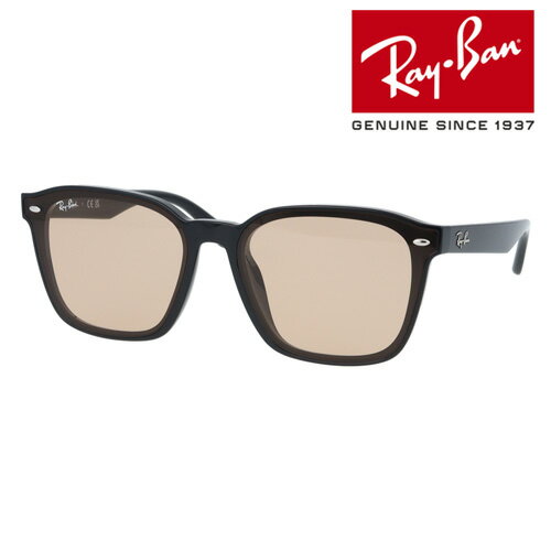 Ray-Ban レイバン サングラス RB4392D 601/93 66mm 紫外線 UVカット 国内正規品 保証書付 大きいサングラス