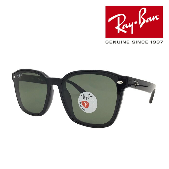 Ray-Ban レイバン 偏光サングラス RB4392D 601/9A 66mm POLARIZED ポラライズド 紫外線 UVカット 国内正規品 保証書付