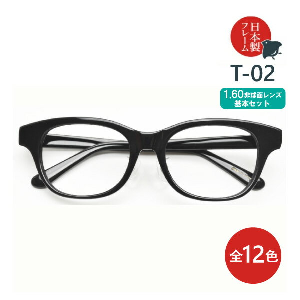 度入り・乱視対応 日本製メガネ T-02 ウェリントン 1.60非球面レンズ基本セット（度入りメガネ＋メガネ拭き＋布ケースセット）
