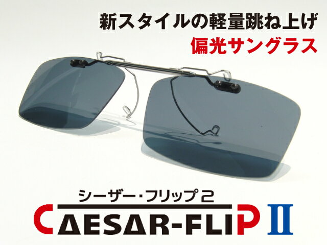 完成品 CAESAR-FLIP2 前掛け 偏光サングラス スクエア型 S202 ガンメタル