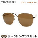 カルバンクライン度入りサングラスセット CK23108LB 717 ゴールド フルメタル 度付き 度なし Calvin Klein UVカット 正規品 ケースつき(4)