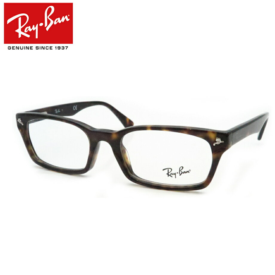 CoKlZbg RX5017A@2012@noi@[J[^Y@xt@x@xȂ@_eKl@ɒBዾ@UVJbg@t[@Ray-Ban