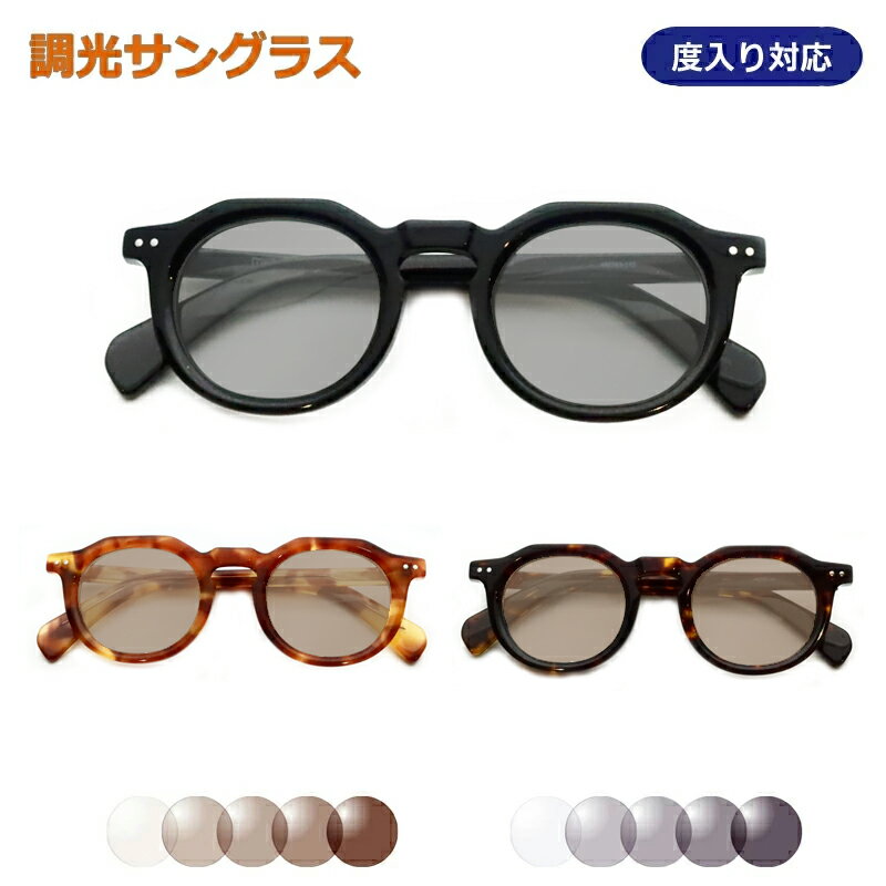 光に当たると色が変わる! 調光サングラスセット LVR-0003 クラウンパント セル 調光 度なし 度入り対応 ハセガワ