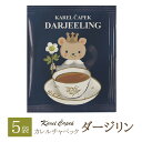 カレルチャペック 個包装 5袋 紅茶 