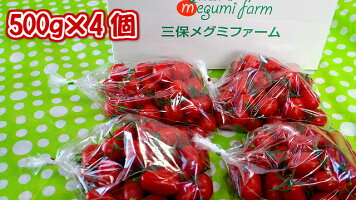 送料無料【こだわり栽培】栄養満点!おやつにもどうぞ!アイコ・ラブリーサクラ・ミックス2キロ