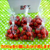送料無料【こだわり栽培】甘味と酸味の絶妙なバランス!おやつにもどうぞ!レッドオーレたっぷり3キロ