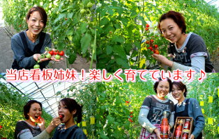 【お歳暮・大切な方の健康・贈り物・お返し等にどうぞ