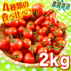 https://thumbnail.image.rakuten.co.jp/@0_mall/megumi-farm/cabinet/imgrc0122160319.jpg