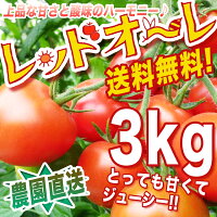 送料無料【こだわり栽培】甘味と酸味の絶妙なバランス!おやつにもどうぞ!レッドオーレたっぷり3キロ