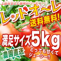 送料無料【おまけ付き!開店セール】リコピン・ミネラルたっぷりの樹上完熟フルーツミディー、レッドオーレ!たっぷりボリューム5kg・おやつトマト・ミニトマト