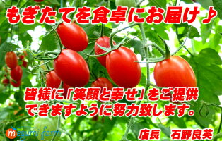 【お歳暮・大切な方の健康・贈り物・お返し等にどうぞ