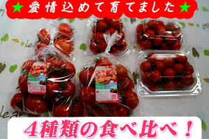 レッドオーレ・贅沢トマト・アイコ・ラブリーサクラの食べ比べ詰め合わせ♪2kgミニトマト