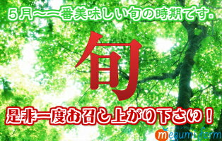 【送料無料】旬のお味【農家直送】リコピン・ミネラルたっぷりの樹上完熟フルーツミディー、レッドオーレ!たっぷり3kg・トマト・ミニトマト