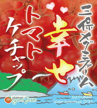 トマトミニトマトケチャップ
