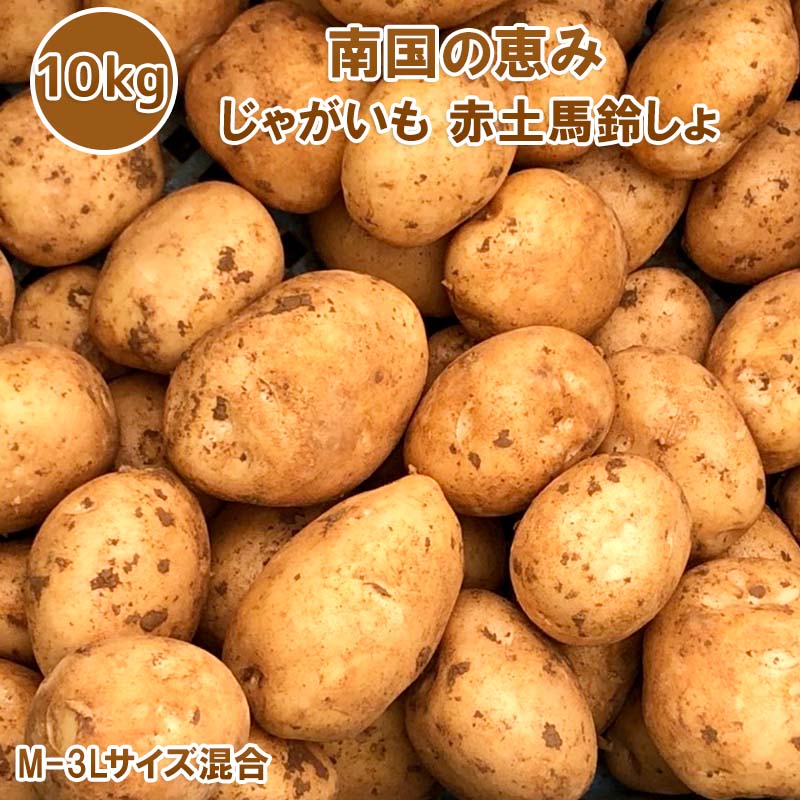 新じゃがいも 送料無料 10kg M~3Lサイズ混合 赤土 新じゃが 九州鹿児島徳之島産 にしゆたか 贈物 ギフト 長期保存 コロナ 応援 箱買い 南国野菜 南の島 産地直送 馬鈴薯 南国の恵み 新ばれいしょ じゃが芋【2022年】