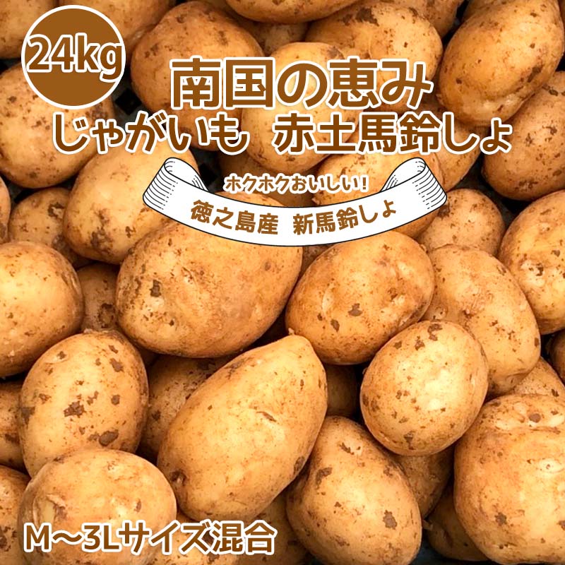 新じゃがいも 送料無料 24kg M~3Lサイズ混合 赤土 新じゃが 九州鹿児島徳之島産 にしゆたか 贈物 ギフト 長期保存 箱買い 南国野菜 南の島 産地直送 馬鈴薯 南国の恵み 新ばれいしょ じゃが芋