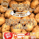 大きいじゃがいも！ BIG(ビッグ)サイズ混合 2L以上～20kg 新じゃがいも 送料無料 赤土 新じゃが 九州鹿児島徳之島産 にしゆたか 贈物 ギフト 長期保存 箱買い 南国野菜 南の島 産地直送 馬鈴薯 南国の恵み 新ばれいしょ じゃが芋【2024年】