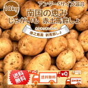 新じゃがいも 送料無料 10kg S以下サイズ混合 小さめ 新じゃが 赤土 九州鹿児島徳之島産 にしゆたか 贈物 ギフト 長期保存 箱買い 南国野菜 産地直送 馬鈴薯 南国の恵み 新ばれいしょ