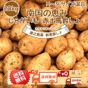 【送料無料(一部地域除く)】2023年産北海道産じゃがいもとうや（10kg）