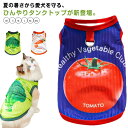 ペット 春 ペット服 Tシャツ ペットタンクトップ 犬猫ペット服 デイリー服 犬 接触冷感 犬用 犬 無地タンクトップ メッシュ ひんやり ウェア 暑さ対策 中...