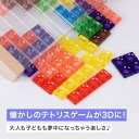 3Dテトリス 知育パズル おもちゃ パズル 知育玩具 フレーム 子供 大人 3歳 4歳 5歳 小学生 カラフル テトリス 知育おもちゃ 脳トレ キッズ 子ども ...