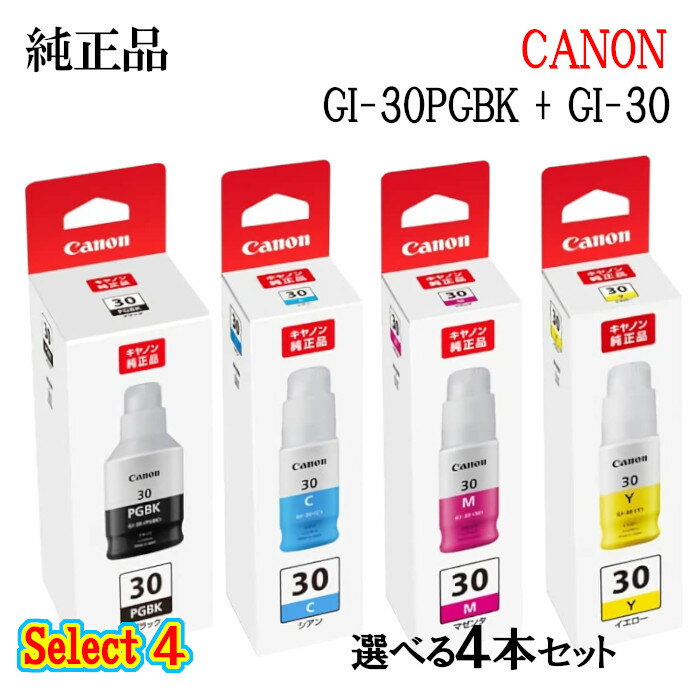 ڽʡCANONΥ󥻥쥯4󥯥GI-304ĥå(֥å1Ĥ٤륫顼3)