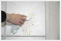 �������ˤ�ˤ�����һ� ��һ� �ˤ�ʤ� �ץ饫������D�ʥǥߡ�1850 �����