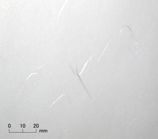 業務用障子紙新やすらぎ雲竜−外表95cm×60m 【和紙 障子】
