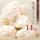 麹 生米こうじ 14kg (1kg×14個) 用途で選べる2種類の麹 蔵元直送 新鮮 国産 会津産  ...