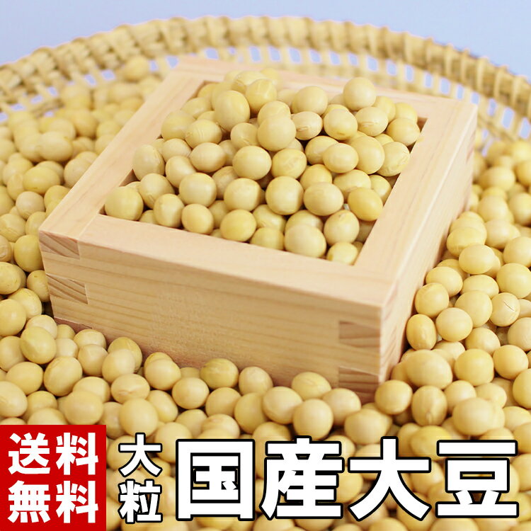 大豆 国産大豆 大粒 500g～20kg 送料無