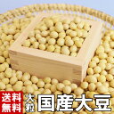 大豆 国産大豆 大粒 500g～20kg 送料無