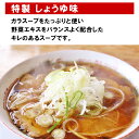 【ラーメンスープ】 しょうゆ スープ 27ml 送料無料 選べる 10～100個 スープのみ しょう油 しょうゆ 醤油 ラーメン ラーメンスープ ラーメン スープ 小袋 小分け だし だし汁 タレ たれ 素 インスタント 液体 濃縮 業務用 正田醤油 正田フーズ 3