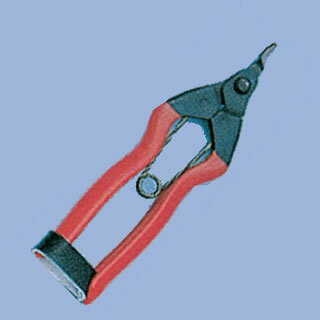 りんご芯切鋏 16cm【 ハサミ 鋏 はさみ 調理用 キッチンバサミ 業務用 】