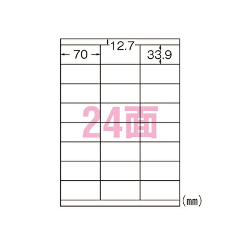 【まとめ買い10個セット品】 エーワン 屋外でも使えるサインラベルシール 31068 ホワイト 5枚